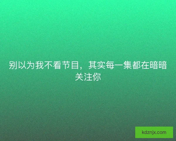 别以为我不看节目，其实每一集都在暗暗关注你